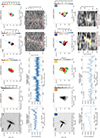 Thumbnail: Fig. B.4. Refer to the following caption and surrounding text.