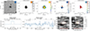 Thumbnail: Fig. C.5. Refer to the following caption and surrounding text.