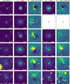 Thumbnail: Fig. 2 Refer to the following caption and surrounding text.