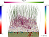 Thumbnail: Fig. 1. Refer to the following caption and surrounding text.
