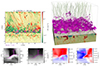 Thumbnail: Fig. 3. Refer to the following caption and surrounding text.