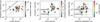 Thumbnail: Fig. 3 Refer to the following caption and surrounding text.