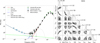 Thumbnail: Fig. 5 Refer to the following caption and surrounding text.