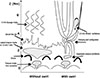Thumbnail: Fig. 3. Refer to the following caption and surrounding text.