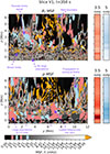 Thumbnail: Fig. 4. Refer to the following caption and surrounding text.