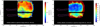 Thumbnail: Fig. 5 Refer to the following caption and surrounding text.