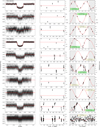 Thumbnail: Fig. 2 Refer to the following caption and surrounding text.