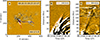 Thumbnail: Fig. 7. Refer to the following caption and surrounding text.