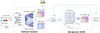 Thumbnail: Fig. 1. Refer to the following caption and surrounding text.