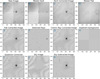 Thumbnail: Fig. 1 Refer to the following caption and surrounding text.
