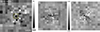 Thumbnail: Fig. 2. Refer to the following caption and surrounding text.