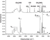 Thumbnail: Fig. 1 Refer to the following caption and surrounding text.
