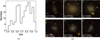 Thumbnail: Fig. 2 Refer to the following caption and surrounding text.