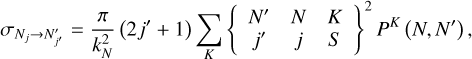 Mathematical equation: $\[\sigma_{N_j \rightarrow N_{j^{\prime}}^{\prime}}=\frac{\pi}{k_N^2}\left(2 j^{\prime}+1\right) \sum_K\left\{\begin{array}{rrr}N^{\prime} & N & K \\j^{\prime} & j & S\end{array}\right\}^2 P^K\left(N, N^{\prime}\right),\]$