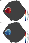 Thumbnail: Fig. 10 Refer to the following caption and surrounding text.