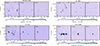 Thumbnail: Fig. A.2. Refer to the following caption and surrounding text.