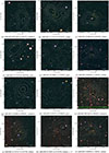Thumbnail: Fig. D.1. Refer to the following caption and surrounding text.