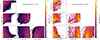 Thumbnail: Fig. 4. Refer to the following caption and surrounding text.