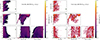 Thumbnail: Fig. 5. Refer to the following caption and surrounding text.