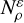 Mathematical equation: $N_{\rho}^{\varepsilon}$