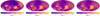 Thumbnail: Fig. 9 Refer to the following caption and surrounding text.
