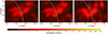 Thumbnail: Fig. 2. Refer to the following caption and surrounding text.