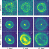 Thumbnail: Fig. 7 Refer to the following caption and surrounding text.