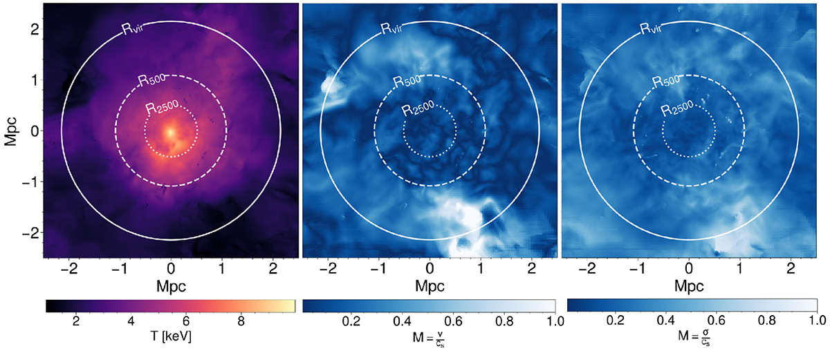 Fig. 6. Refer to the following caption and surrounding text.