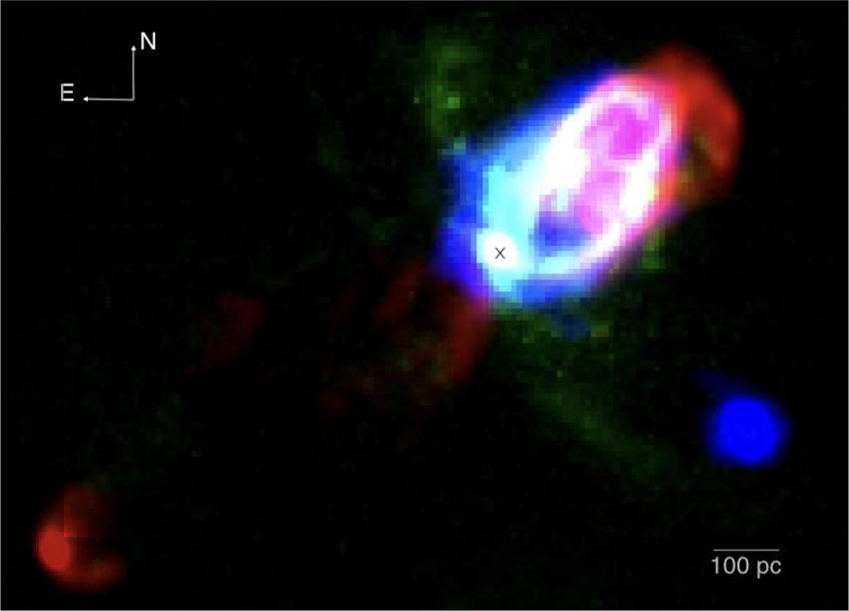 Fig. 6. Refer to the following caption and surrounding text.