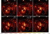 Thumbnail: Fig. 2 Refer to the following caption and surrounding text.