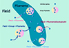 Thumbnail: Fig. 3. Refer to the following caption and surrounding text.