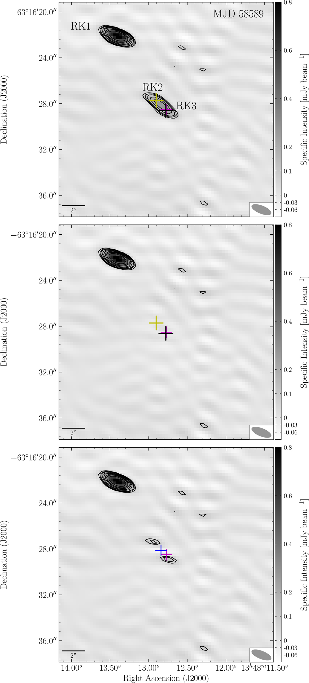 Fig. 4. Refer to the following caption and surrounding text.