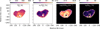 Thumbnail: Fig. 4 Refer to the following caption and surrounding text.
