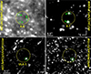 Thumbnail: Fig. 8. Refer to the following caption and surrounding text.