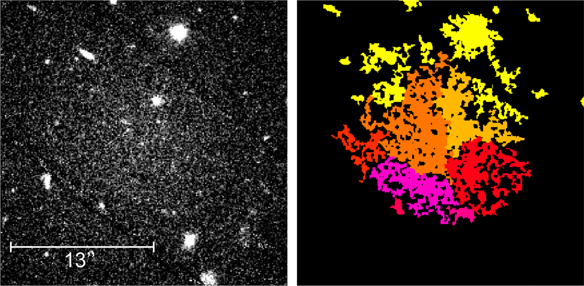 Fig. 6. Refer to the following caption and surrounding text.