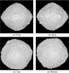 Thumbnail: Fig. 10 Refer to the following caption and surrounding text.