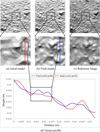 Thumbnail: Fig. 15 Refer to the following caption and surrounding text.