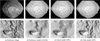 Thumbnail: Fig. 16 Refer to the following caption and surrounding text.