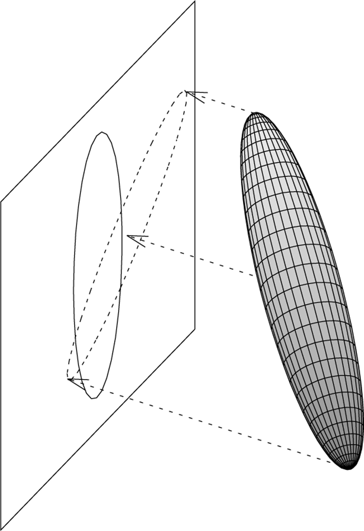 Fig. 5 Refer to the following caption and surrounding text.