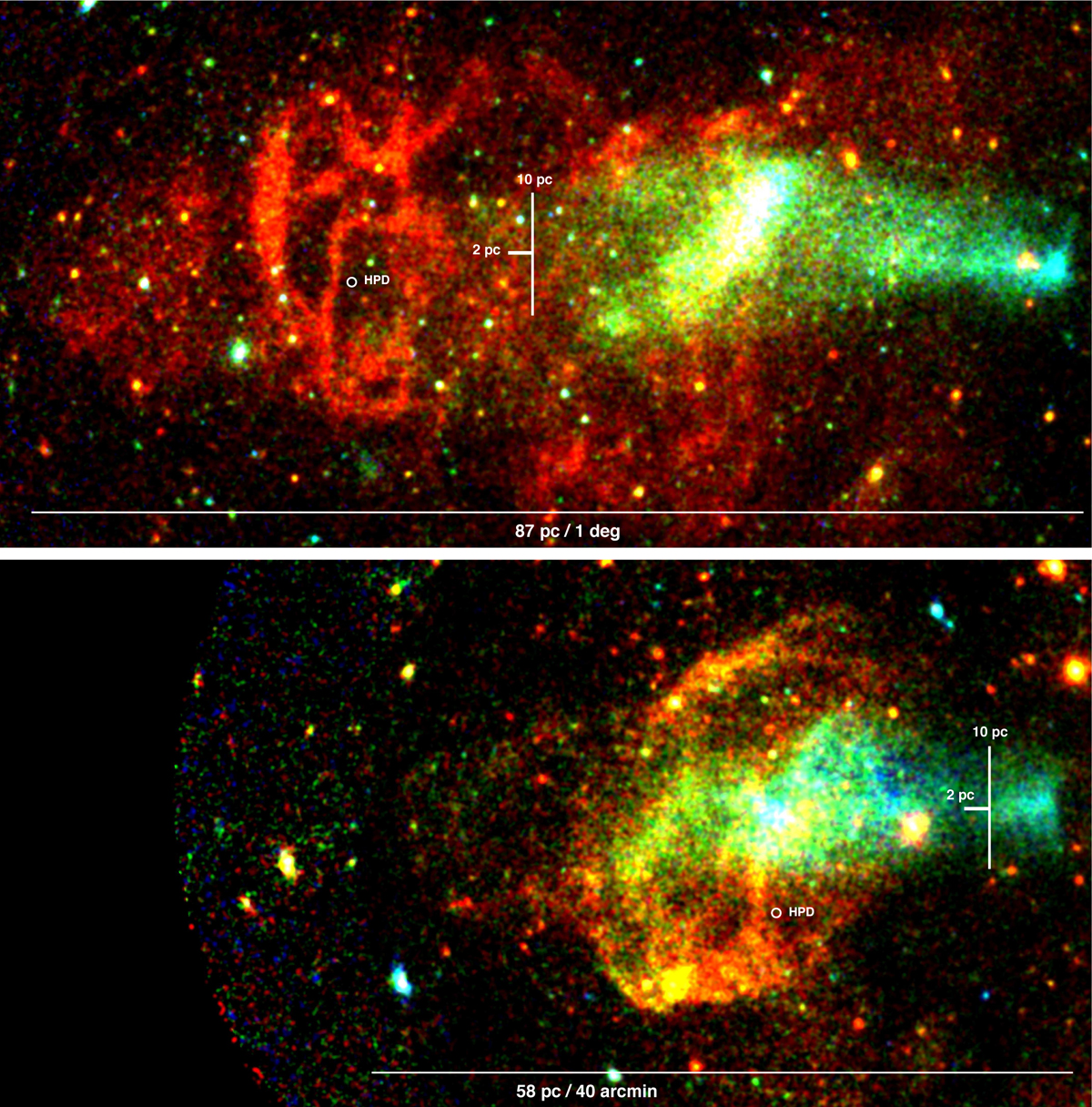 Fig. 4 Refer to the following caption and surrounding text.