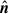 Mathematical equation: $ {\hat{\boldsymbol{n}}} $