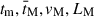 Mathematical equation: $ t_{\mathrm{m}}, \bar{t}_{\mathrm{M}}, v_{\mathrm{M}}, L_{\mathrm{M}} $