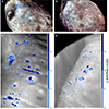 Thumbnail: Fig. D.1. Refer to the following caption and surrounding text.