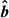 Mathematical equation: $ \boldsymbol{\hat{b}} $