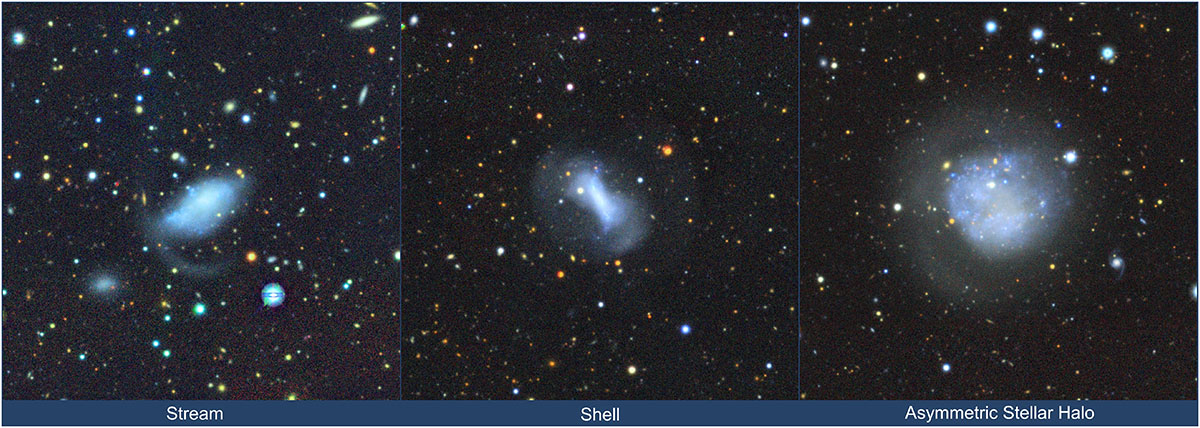 Fig. 1. Refer to the following caption and surrounding text.