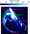 Thumbnail: Fig. 1 Refer to the following caption and surrounding text.