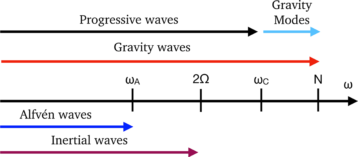 Coexistence of internal gravity waves and Tayler-Spruit magnetic fields ...