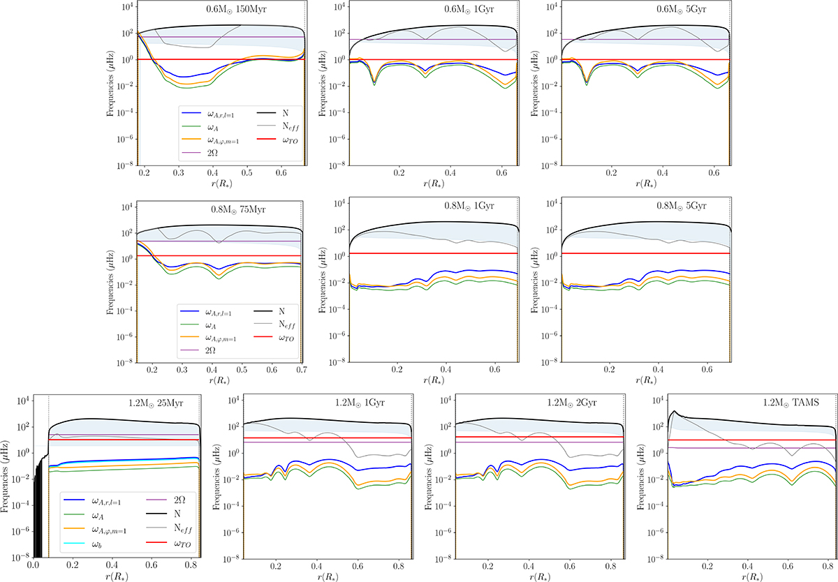 Coexistence of internal gravity waves and Tayler-Spruit magnetic fields ...