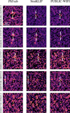 Thumbnail: Fig. 7 Refer to the following caption and surrounding text.
