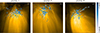 Thumbnail: Fig. 3. Refer to the following caption and surrounding text.